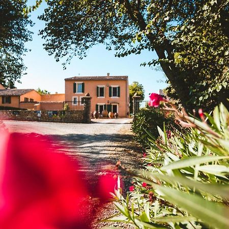 B&B Chateau Ciceron Ribaute ภายนอก รูปภาพ